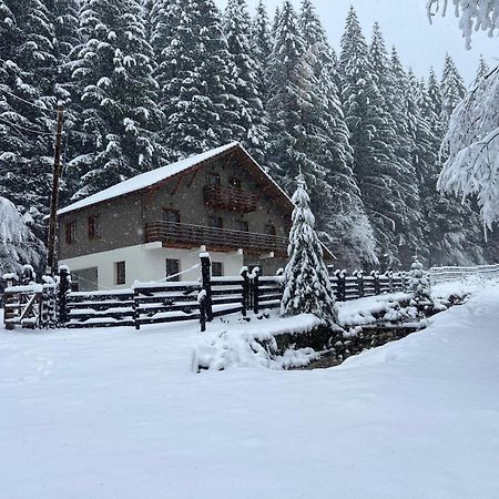 Chiba Chalet Alsótömös Kültér fotó