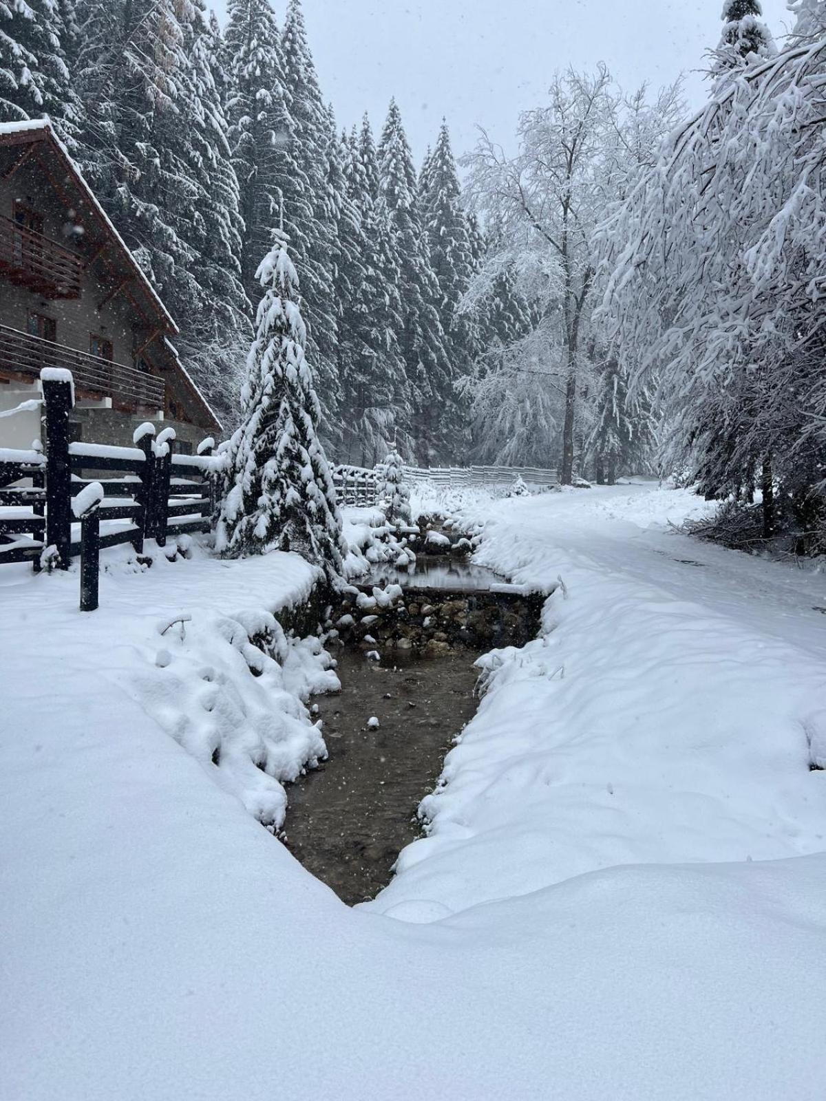 Chiba Chalet Alsótömös Kültér fotó